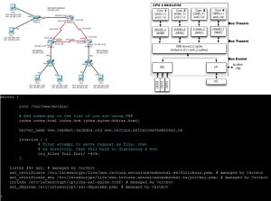 Redes OSPF